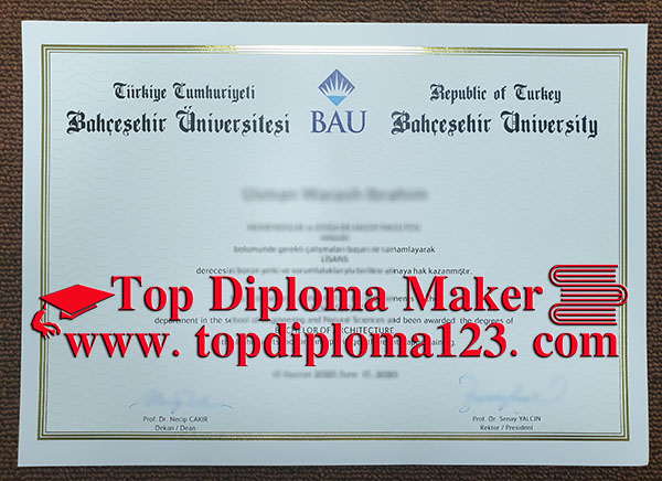  Bahçeşehir University (BAU) diploma