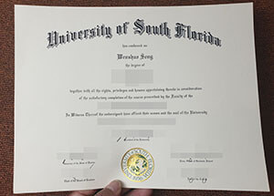 How to create A fake University of South Florida di