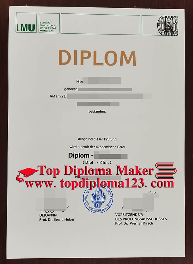 LMU Munich Fake Diploma