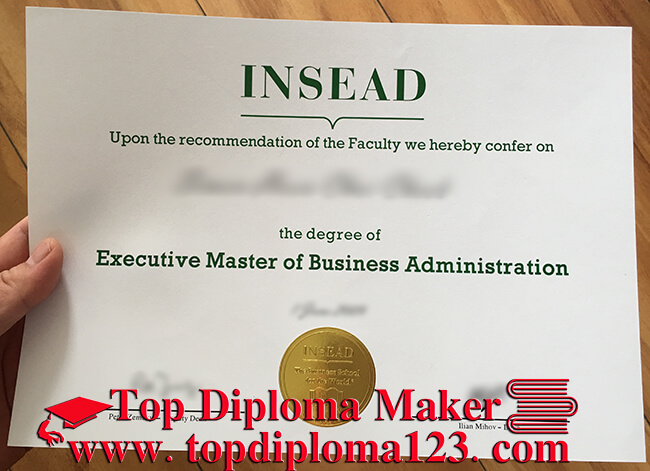 INSEAD degree