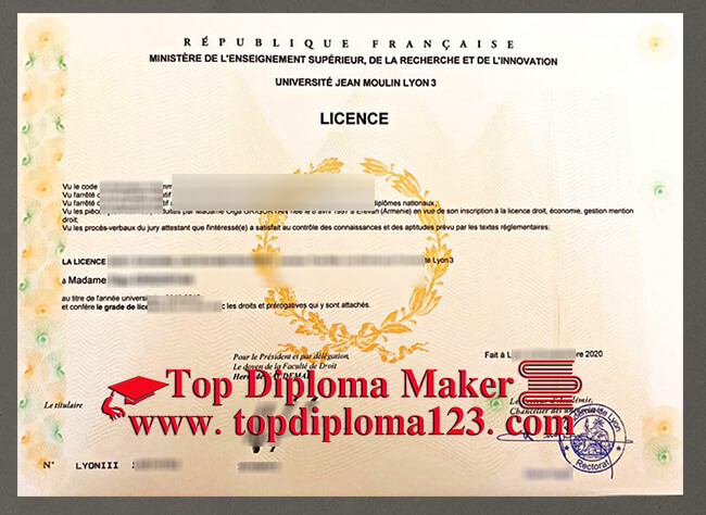 Université Jean Moulin Lyon 3 diploma